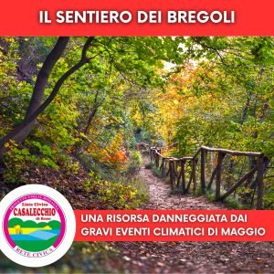 Scopri di più sull'articolo Il Sentiero dei Bregoli: una risorsa danneggiata dai gravi eventi climatici di Maggio